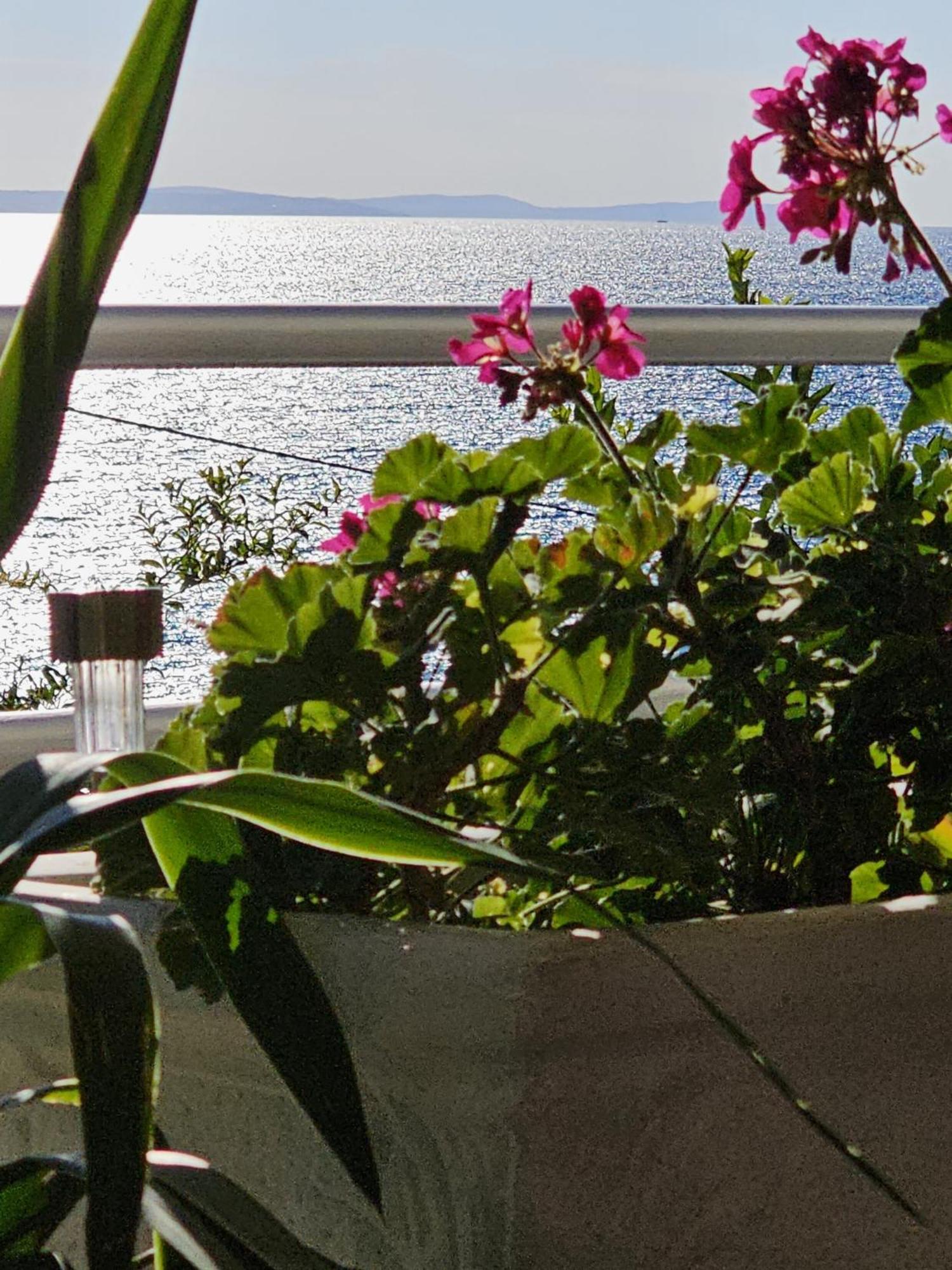 Beach Apartments Mika Lokva Rogoznica Dış mekan fotoğraf
